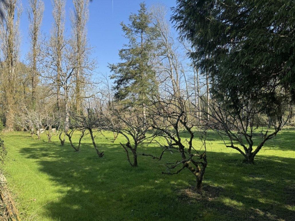 A vendre maison de Maître à Lamblore de 13 pièces